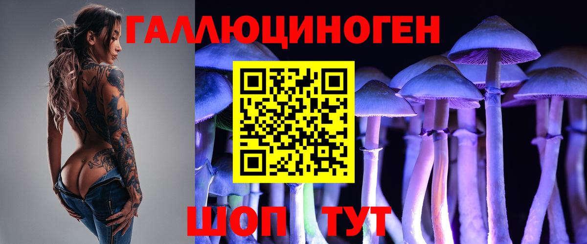 Звенигород  Галлюциногенные грибы мухоморы  Вход с VPN  Галлюциногенные грибы Magic Shrooms 