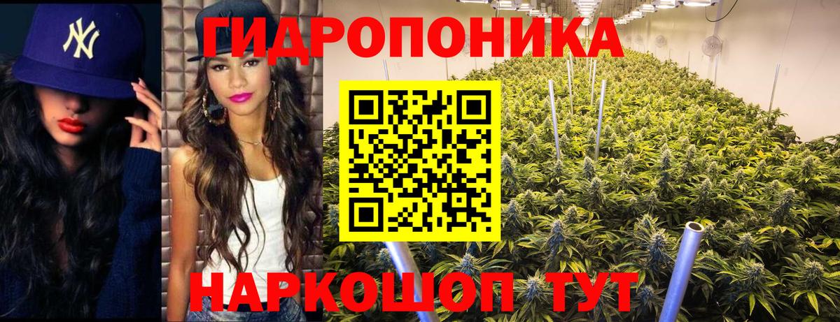Бошки Шишки план Звенигород